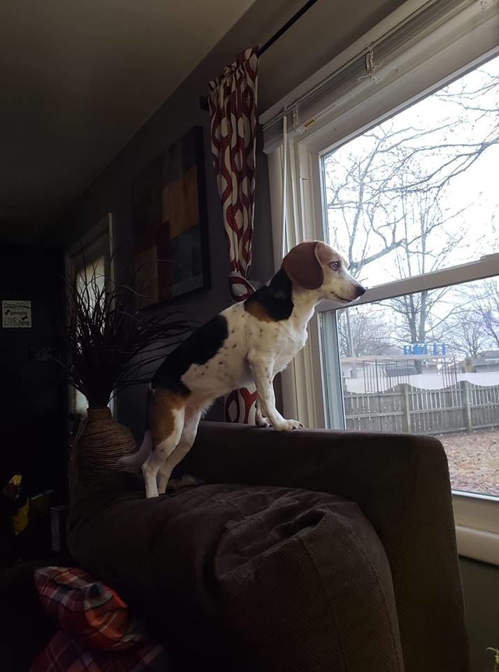 Look out the window!